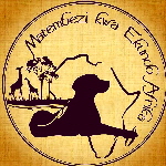 Rhodesian Ridgeback Kennel Matembezi kwa Afrika